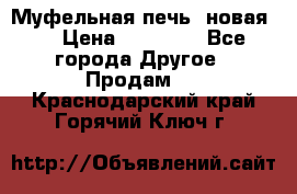 Муфельная печь (новая)  › Цена ­ 58 300 - Все города Другое » Продам   . Краснодарский край,Горячий Ключ г.